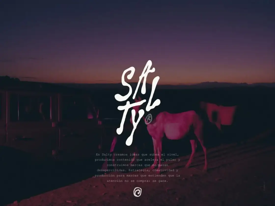 Web de Salty Creative Hub